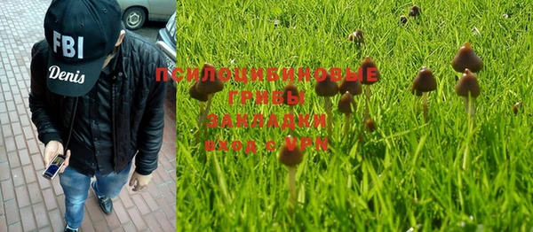 спиды Дмитровск