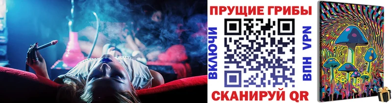 Купить где  Торопец  Галлюциногенные грибы Magic Shrooms 