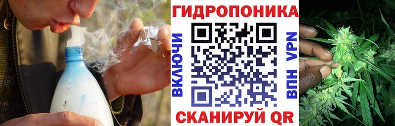Канабис ГИДРОПОН  Купить  Торопец 